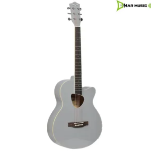 GUITARRA ACÚSTICA TAYSTE T-406  GRIS