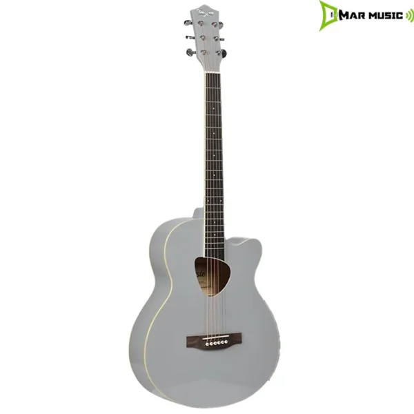 GUITARRA ACÚSTICA TAYSTE T-406  GRIS