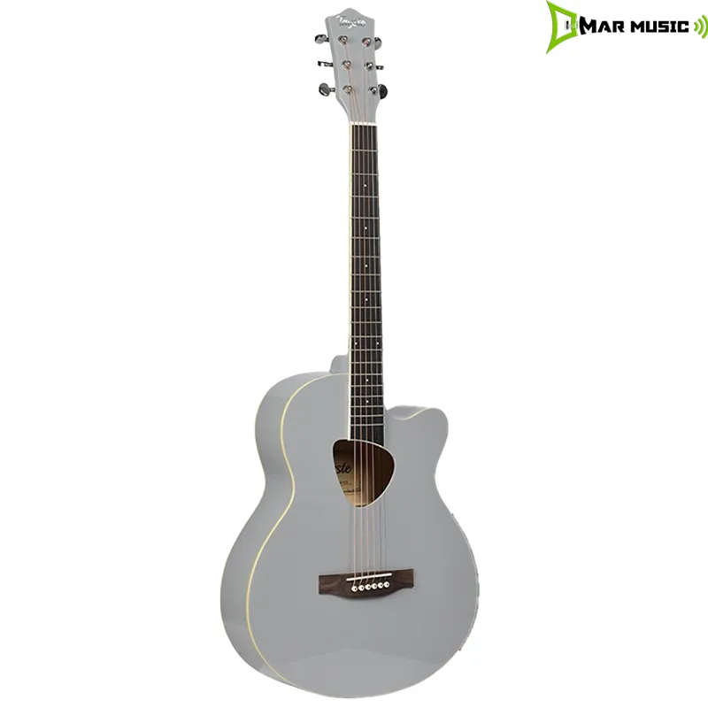 GUITARRA ACÚSTICA TAYSTE T-406  GRIS