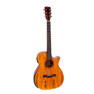 GUITARRA ACÚSTICA MAYER ARLO-931 NT METAL | SONIDO POTENTE Y ACABADO NATURAL PROFESIONAL